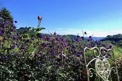 Ripa d'Elce, vakantieappartement "Gelsomino"
