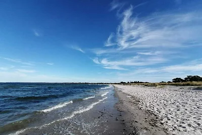 8 Personen Ferienhaus in Stege-By Traum