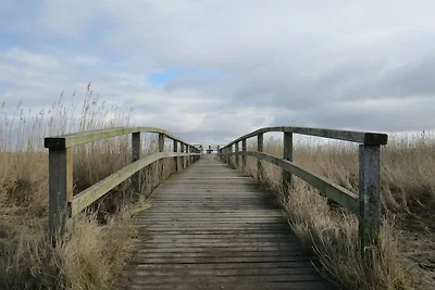 "Meeuw onder een rieten dak"