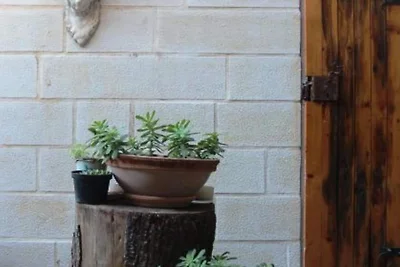 Quaint & Affordable Stay in Budva Traditional...