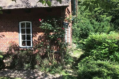 Ferienwohnung mit 2 Schlafzimmer