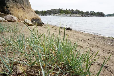 7 Personen Ferienhaus in STRÖMSTAD