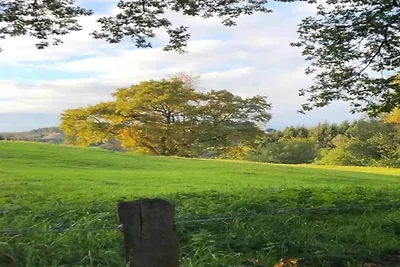 Nella regione (estate) (>5 km) Nella regione (estate) (>5 km)