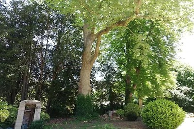 Ferienhaus mit Garten und Terrasse