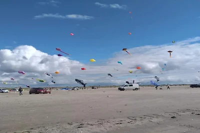 8 Personen Ferienhaus in Fanø-By Traum