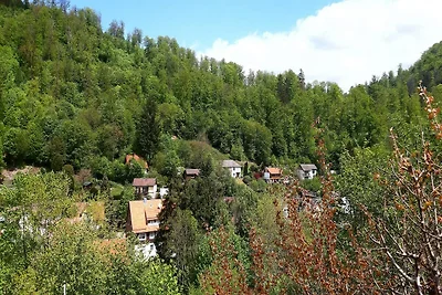 Ferienhaus im Harz mit Wanderwegen