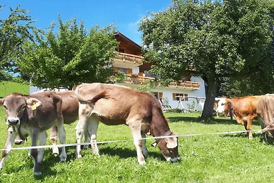 Arnika auf dem Berghof Lingg