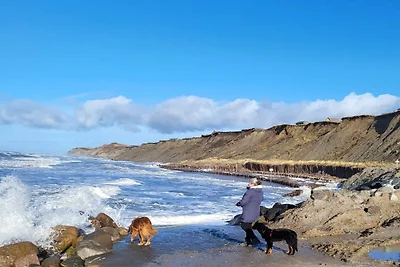 Rustig huisje toevluchtsoord in Lokken-By...