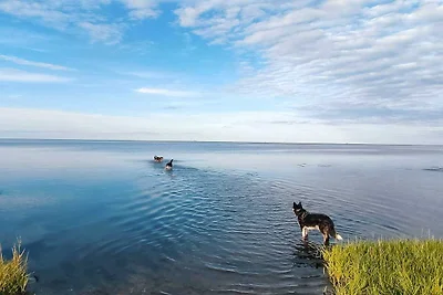 Kuća za odmor Dopust za oporavak Danska