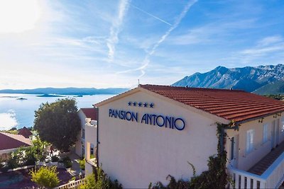 Hotel Pansion Villa Antonio - Standard Double...