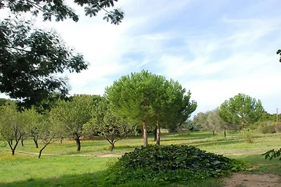 Hütte in Montegrosso mit Wifi