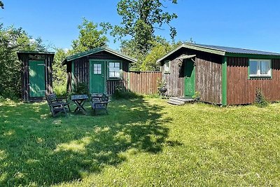 4 persoons vakantie huis in BORGHOLM