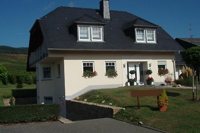 Schöne Wohnung in der Moselregion