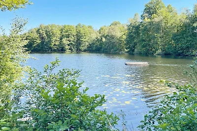 4 Sterne Ferienhaus in Backaryd