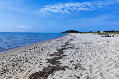 8 persone case ad Sydals