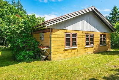6 Personen Ferienhaus in Højslev-By Traum