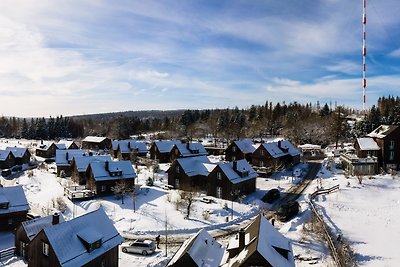 Ferienhäuser im Torfhaus Harzresort, Torfhaus