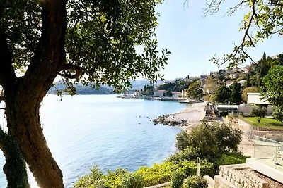 Standard-2-Zimmer-Apartment für 3 Personen –...