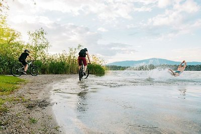 Wohnung in Faak am See mit Schwimmbecken