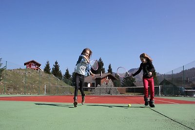 Gemütliches Chalet mit Geschirrspüler in den...