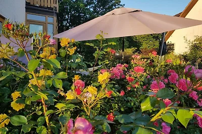 Ferienwohnung in Malente mit Barbecue