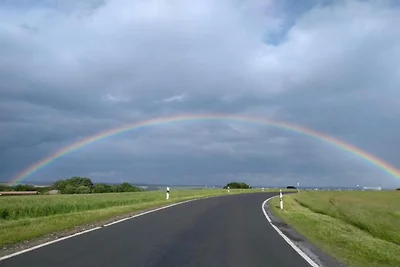 Nella regione (estate) (>5 km) Nella regione (estate) (>5 km)