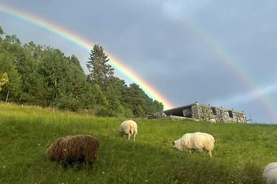 6 persoons vakantie huis in Leikanger