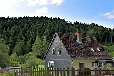 Aangenaam appartement in Wildemann