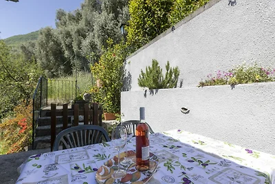 Terras / Balkon Terras / Balkon