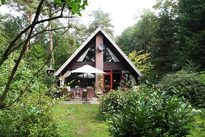 Ampia casa vacanze ad Eersel con caminetto