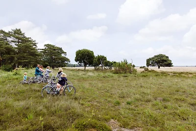Bungalow con camino, non lontano da Assen