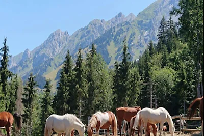 Wohnung in La Clusaz mit Pool & Sauna