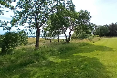 8 persone case ad Skals