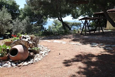 Angelos Paradise