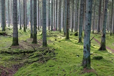 Gemutliches Refugium in Marielyst -- By Traum...