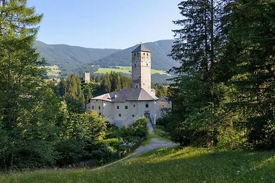 Alpenrose auf dem Mahrhof