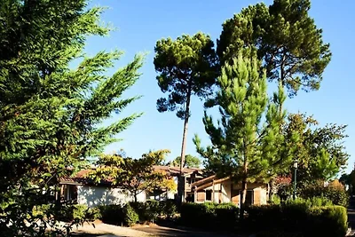 Apartment am See Parentis mit Pools