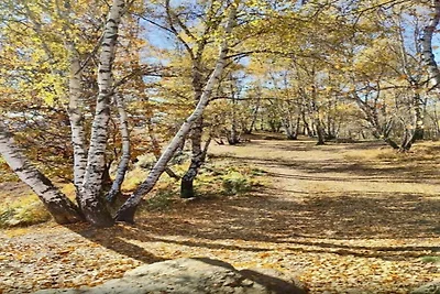 In der Region (Sommer) (>5 km) In der Region (Sommer) (>5 km)