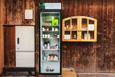 Urlaub in Mittersill – Nähe Kitzbüheler Alpen