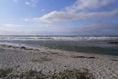 Felicita' in riva al mare -- By Traum...