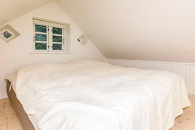 5 Sterne Ferienhaus in Skagen