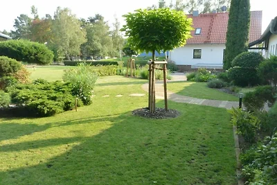 Altschulze "Teichrose"