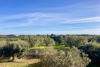 Casa Ulivo Confortevole residenza per vacanze