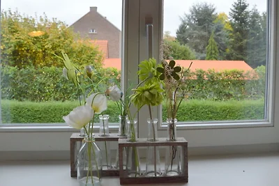 Appartement in Roosteren, nabij de Belgische...