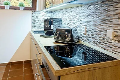 Wohnung in Harrachov mit Grill