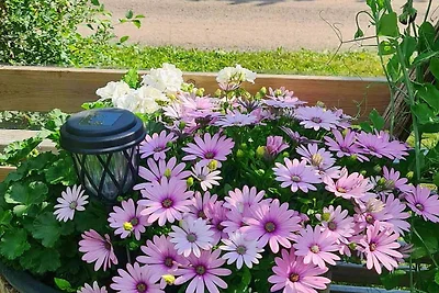 Kuća za odmor Dopust za oporavak Uppsala län