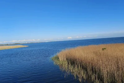 4 Personen Ferienhaus in Ringkøbing-By Traum