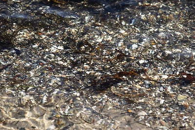 Kustenzauber in Binderup-By Traum