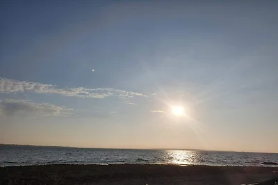 19 Personen Ferienhaus in Løgstør-By Traum