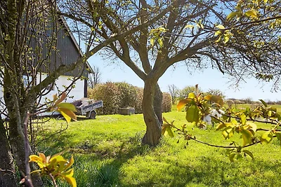 6 personas casa en Aakirkeby